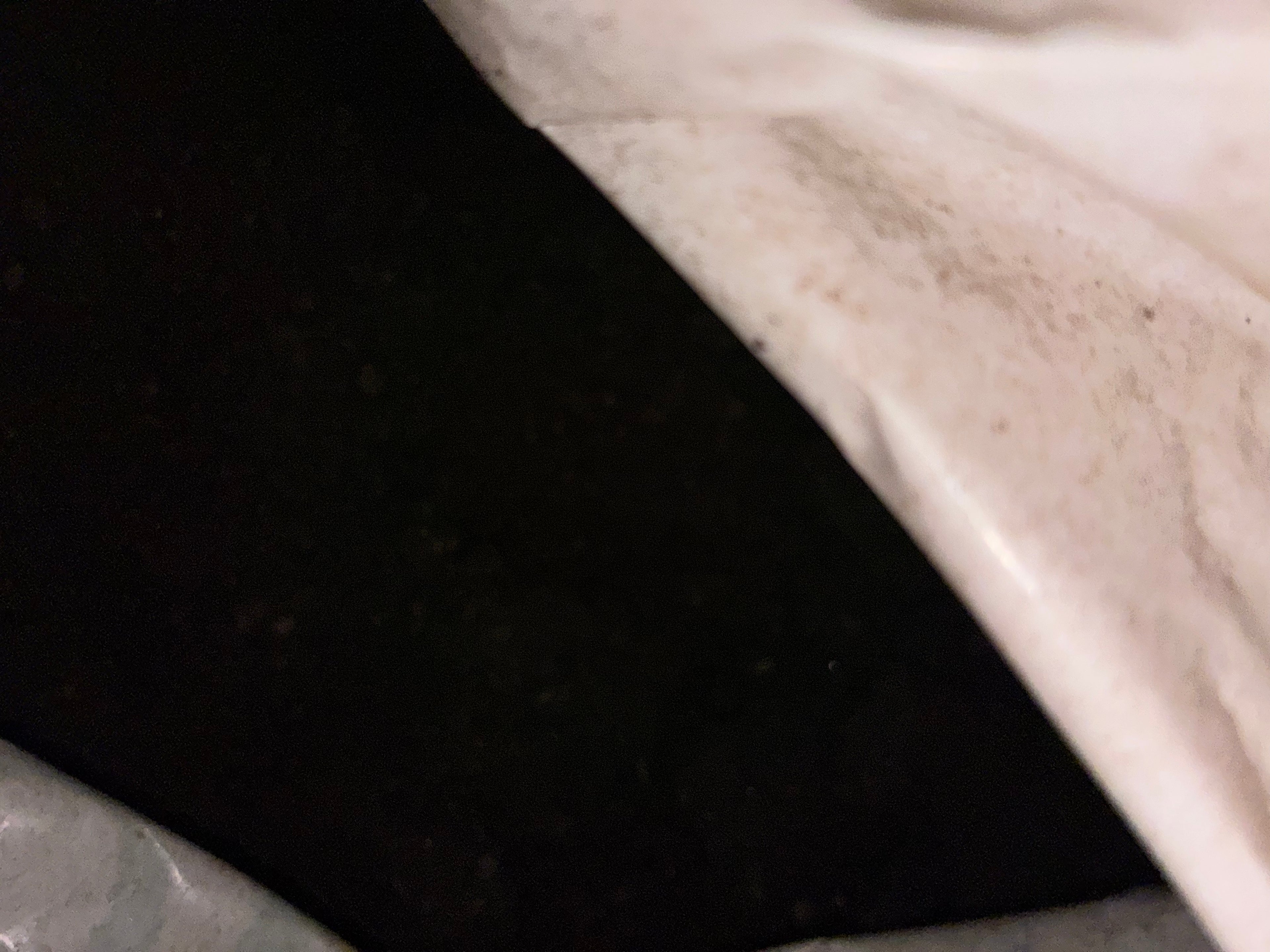 Worm casting with worms